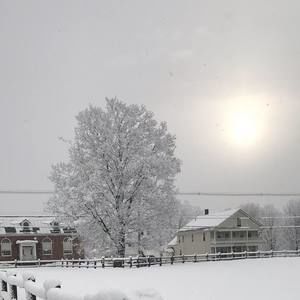 Meet your Posher, Ann